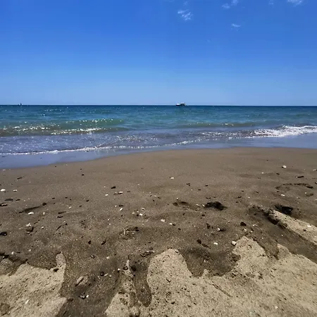 Arena Carpe Diem * Marbella